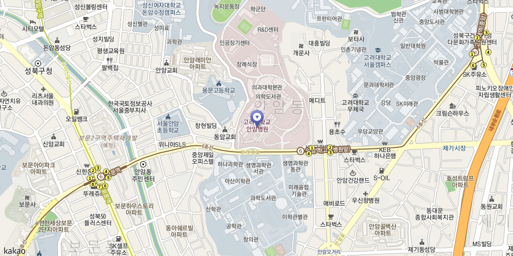 지도